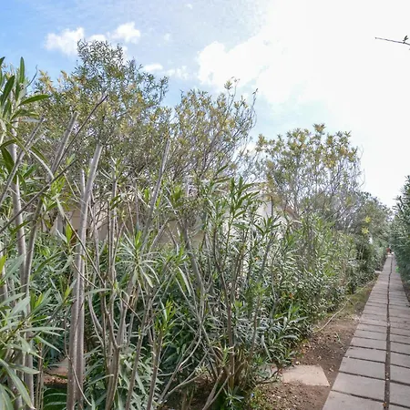 Daire Bilocale Costa Rei