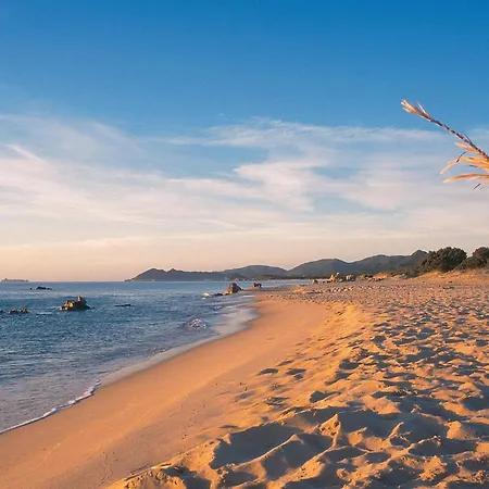 Bilocale アパート *